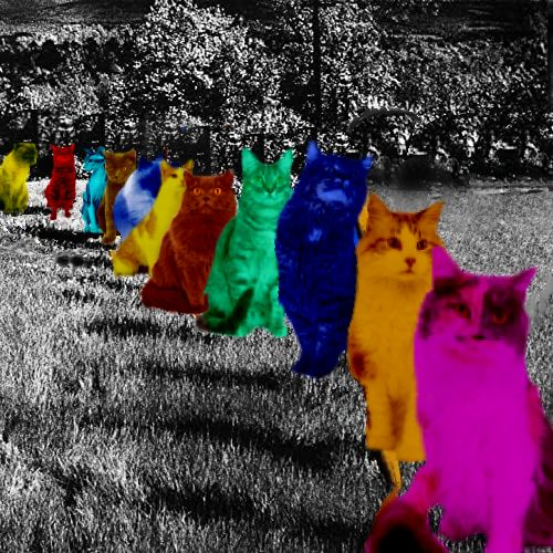 Death of a Party Girl